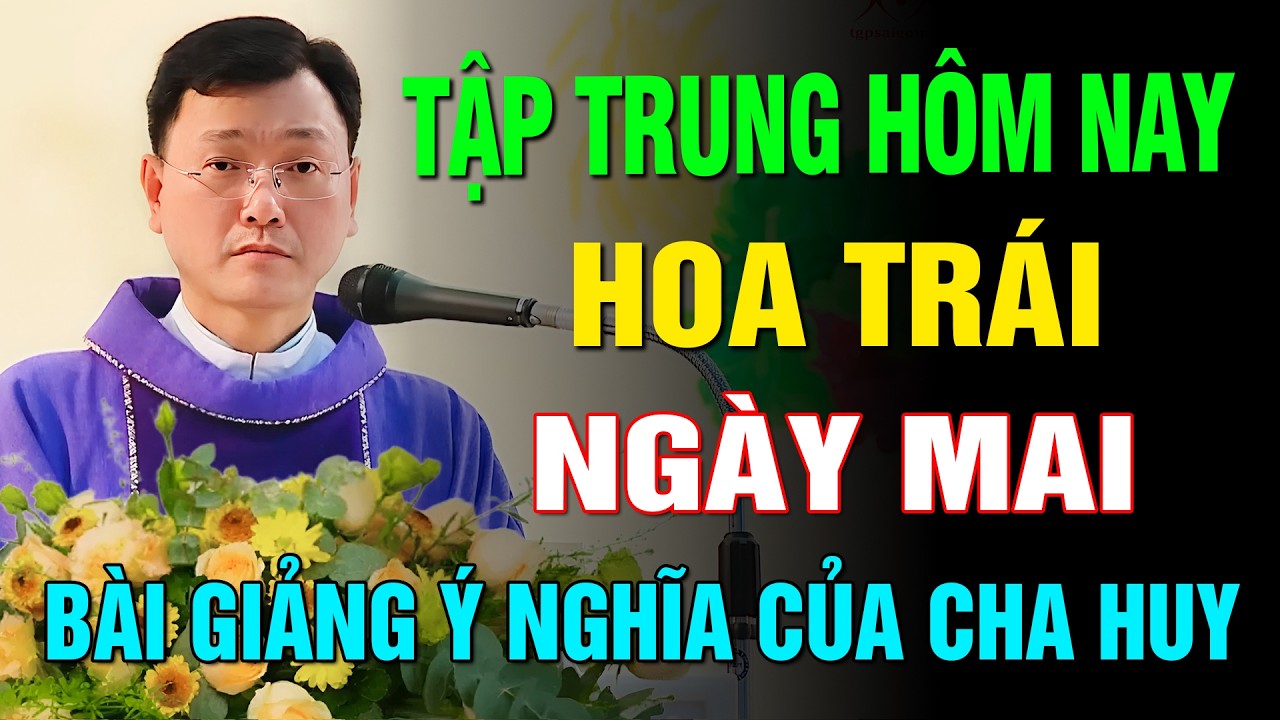 TẬP TRUNG HÔM NAY – HOA TRÁI NGÀY MAI ✝️ BÀI GIẢNG HAY VÀ Ý NGHĨA CỦA LM HOÀNG BÁ QUỐC HUY