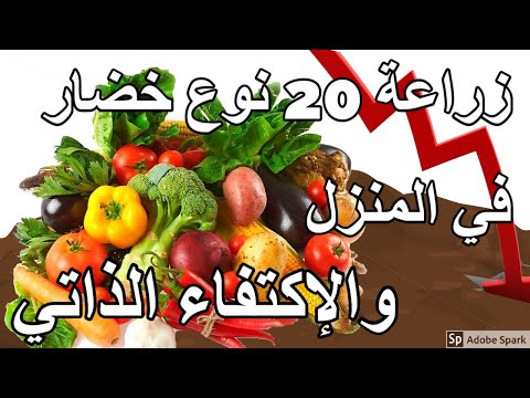 فيديو: زراعة الخضروات الحضرية - خضروات من نوع بوش للمساحات الصغيرة