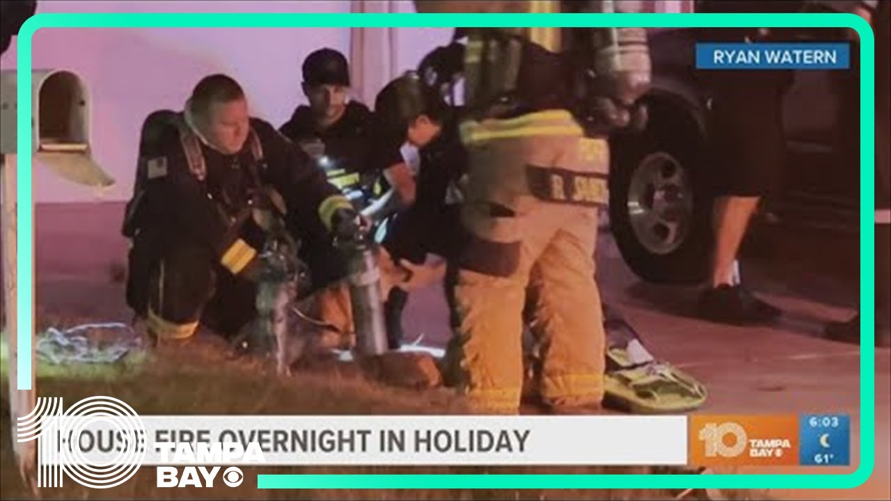 Two dogs rescued from house fire in New Port Richey, Florida - YouTube