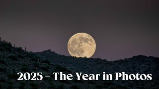 2025: The Year in Photographs