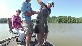 Brads Giant Blue Cat Lake Monroe Indiana