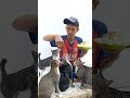 Berbagi makan dengan kucing 2 #shorts