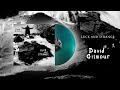 David Gilmour - Luck and Strange (Official Audio)