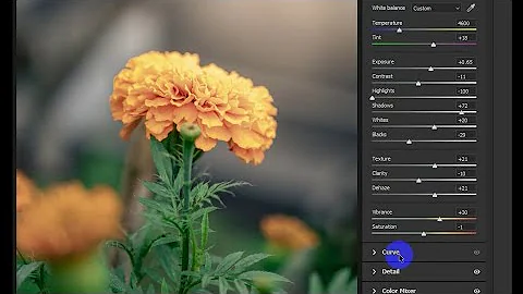 Color Grading with Camera Raw 15 in Photoshop 2022 | EP 01