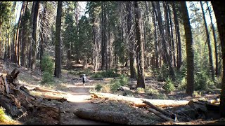 On The Trail VR/360°: Big Stump Loop