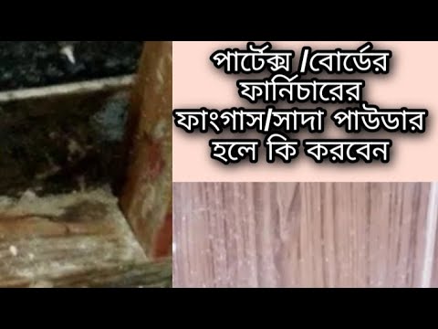 ভিডিও: পাতলা পাতলা পাতলা কাঠ: কোনটি সবচেয়ে পাতলা? কাঠামোর মডেলিং এবং পুনরুদ্ধারের জন্য প্লাইউড, প্রয়োগের অন্যান্য ক্ষেত্র