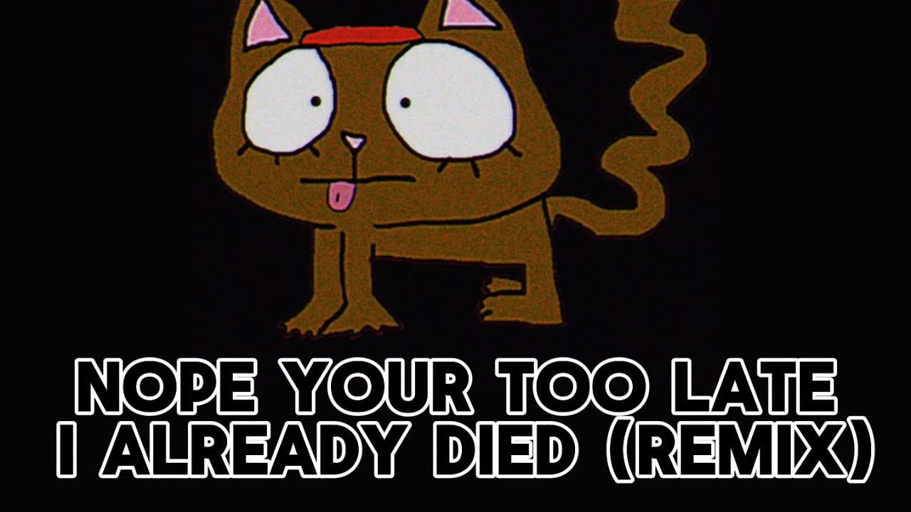 Nope your too late i already died (remix) - wifiskeleton - YouTube