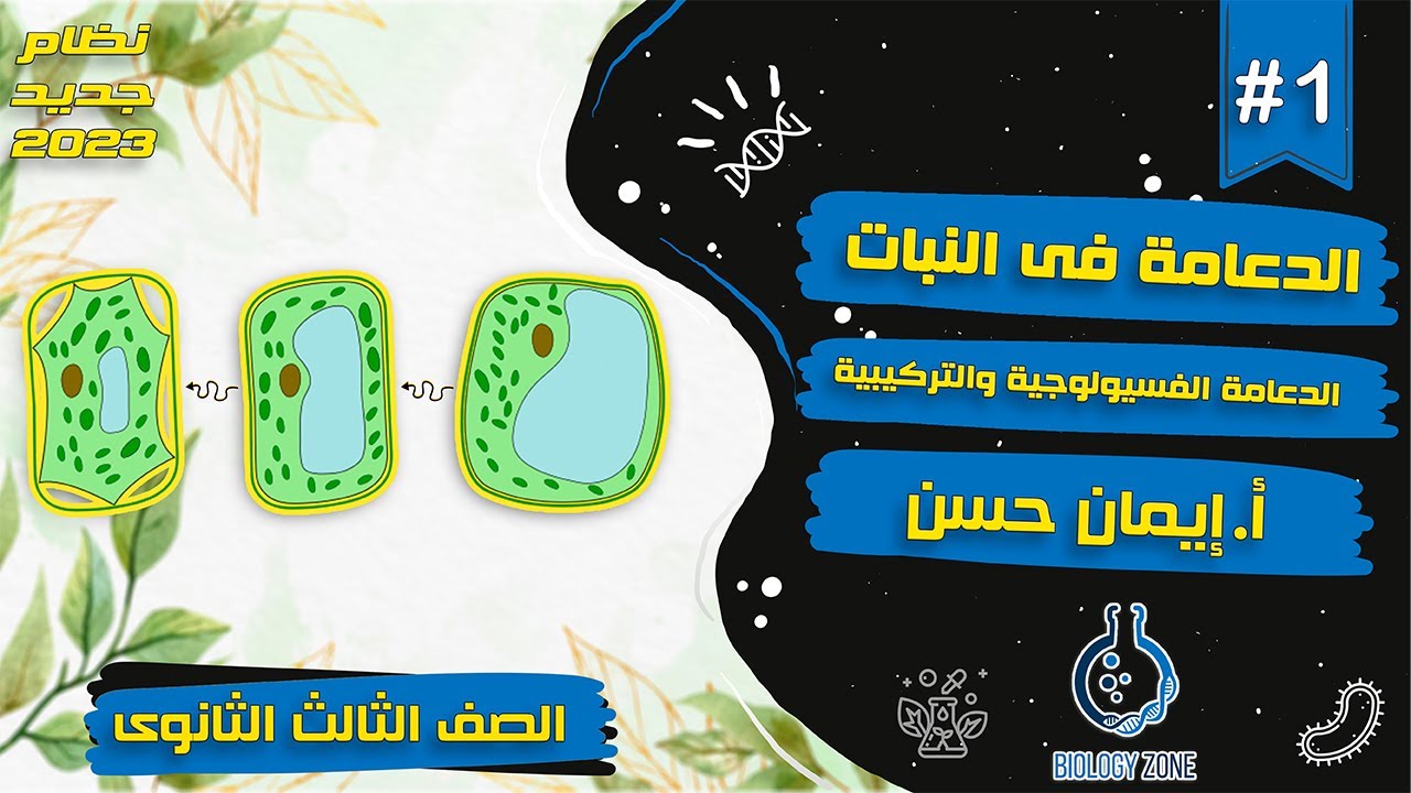 #1 | شرح الدعامة فى النبات (شرح الدعامة الفسيولوجية والتركيبية) | احياء تالته ثانوى 2023 | إيمان حسن