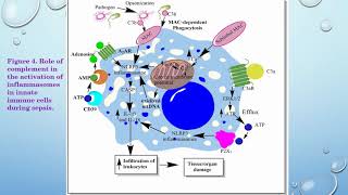 Inflammasomes: Pandora’s box for sepsis – Video abstract [ID 178084]