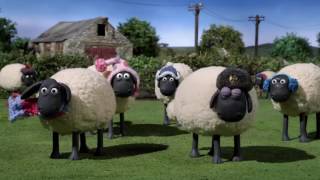 Shaun The Sheep English   Shaun goes Potty 【03x03】 ❤️ Funny Cartoon for Kids 2017
