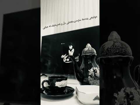       رزا نیکفرجام تابوت رنگی ژێەنووسی کوردی