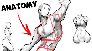 How I Would Learn Anatomy (If I Could Start Over)