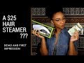 A Hair Steamer DUPE for ONLY $25?! - DEMO and FIRST IMPRESSION