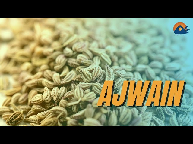 AJWAIN