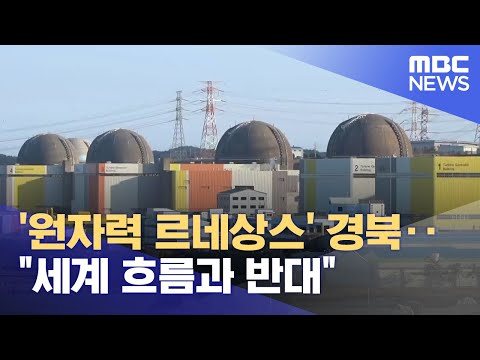 원자력 르네상스 경북 세계 흐름과 반대 2023 12 13 뉴스데스크 안동MBC 