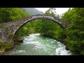 Tテシrkiye Rize テ Mlトアhemナ殃n Storm Creek Fトアrtトアna Deresi Rize テァamlトアhemナ殃n Drone Dronevideo Dji Tテシrkiye Rize テ Mlトアhemナ殃n Storm Creek Fトアrtトアna Deresi Rize テァamlトアhemナ殃n Drone Dronevideo Dji