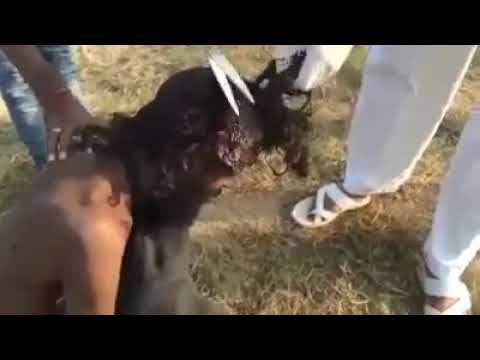 Kafasi Kurtlanan Adam Youtube Kafasi Kurtlanan Adam Youtube