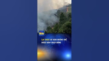 ST666NEWS | LAI CHÂU CƠ BẢN KHỐNG CHẾ ĐƯỢC ĐÁM CHÁY RỪNG
