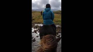 Horseback riding in Iceland