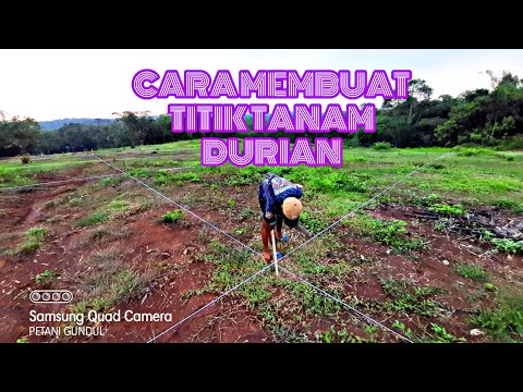 Video: Pembudidaya (63 Foto): Pilih Penanam Kebun Sepanjang 4 Meter Dan Sekop Penanam Sederhana. Bagaimana Cara Menggunakan KNK-4 Potongan Lebar Terhadap Rumpai, KPK-8 Dan KSN-4?