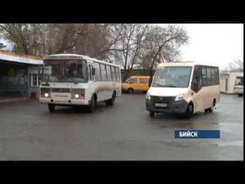 Где автобус бийск 35. Горно алтайск бийск автобус. Паз в бийске. Автобус. Где автобус бийск 35.