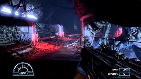 Alien Vs. Predator-  Harsh Language Achievement Guide - Colony