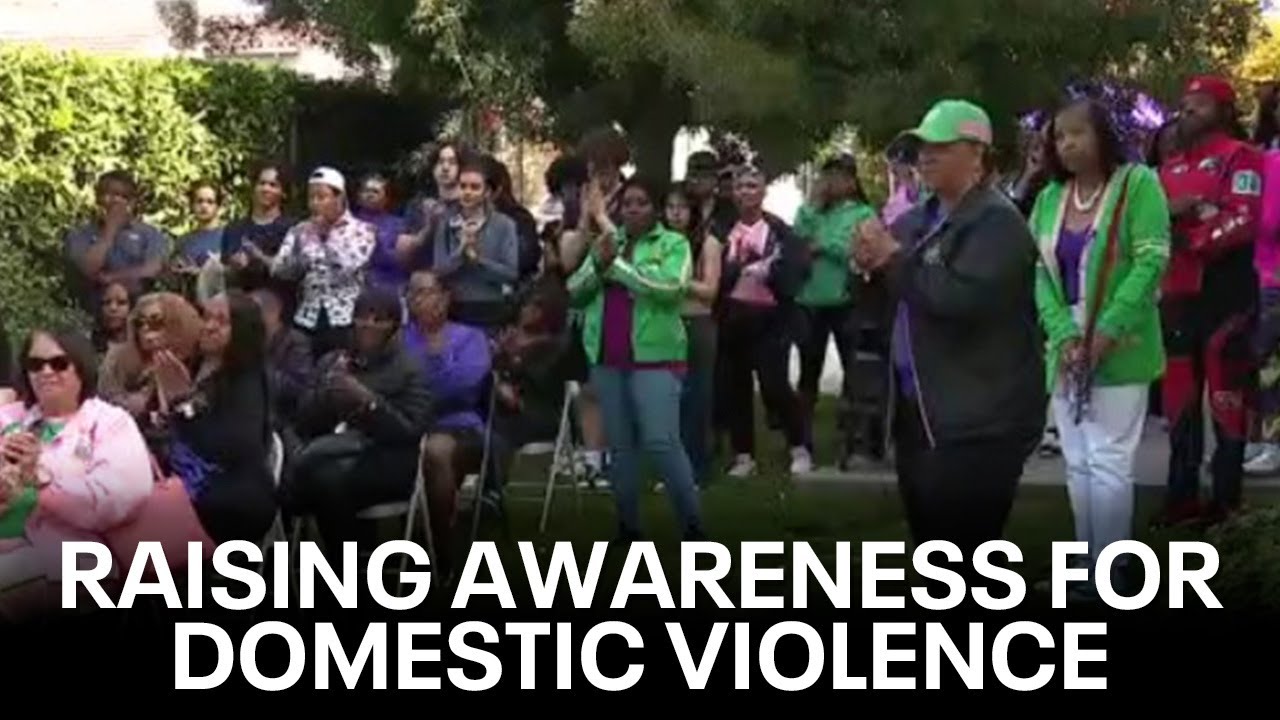 Alpha Kappa Alpha, A Safe Place host domestic violence awareness walk ...
