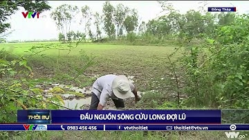 Vùng đầu nguồn Đồng bằng sông Cửu Long sẵn sàng xả lũ đón phù sa | VTVWDB