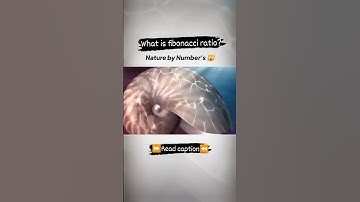 Visualization Of Fibonacci Ratio #shorts  #physics #physicsmagic #beautyofphysics  #fibonacci