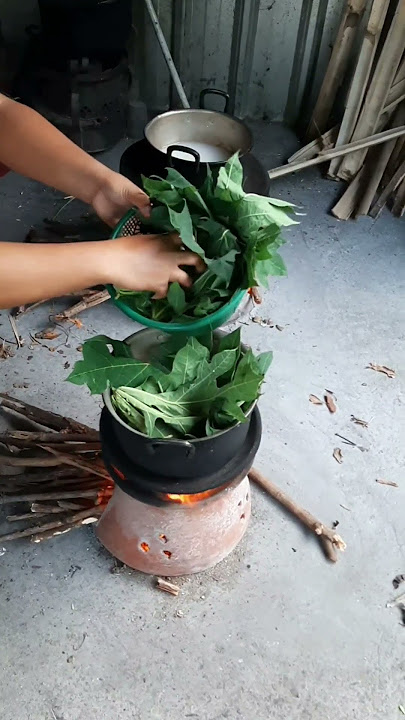 MEMASAK DENGAN PEMANDANGAN ALAM ,ALHAMDULILAH STOK KAYU BASAH DAN KERING AMAN 1 MINGGU KEDEPAN #cat