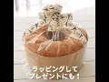 アルミじゃなくても上手に焼けます!クラフトシフォン型| How to Make a Chiffon Cake using Paper Cake Pan| cotta-コッタ