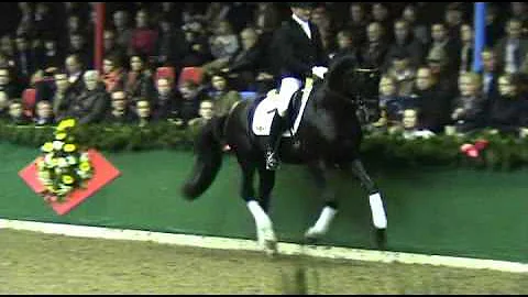 Amadelio und Ralf Kornprobst Hengstschau Vechta 2012