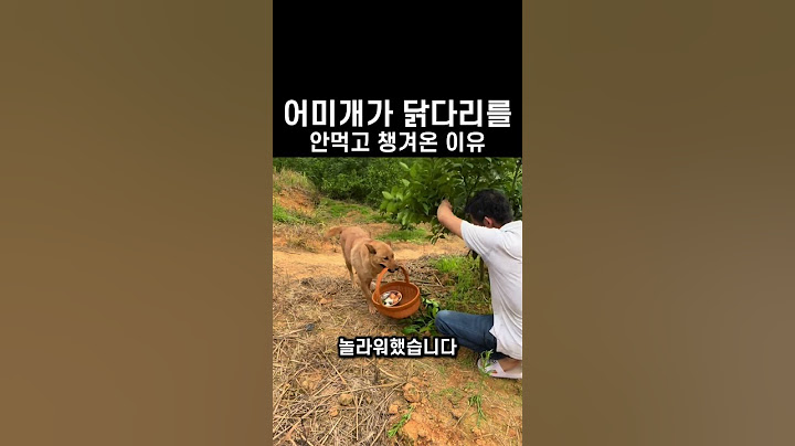 "뭐야 왜 안먹어?.." 배고픈 어미개가 닭다리를 챙겨간 이유