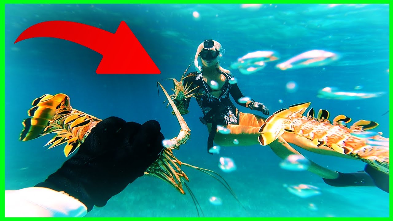 how-to-catch-lobster-in-key-largo-how-to-cook-them-youtube
