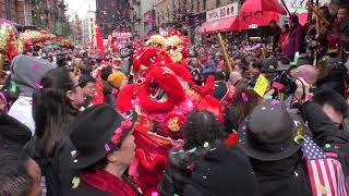 Chinese Lunar New Yearchinatown, Nyc2019Dancing Lions Eating Lettucenycparadelife