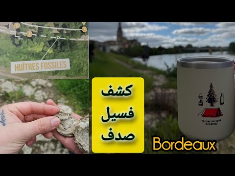 جستجوی برای فسیل صدف در یکی از دهکده های اطراف شهر بوردو فرانسه