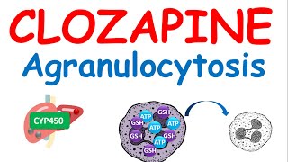 Clozapine and agranulocytosis by egpat 1,232 views 4 months ago 9 minutes, 52 seconds