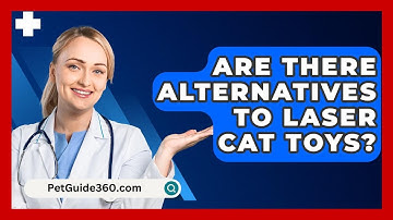 Are There Alternatives To Laser Cat Toys? - PetGuide360.com