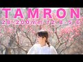 【TAMRON 28-200mm f2.8-5.6】絞り値による描写をチェック！開放と絞り込んだ時でどう違うのか？ α7sⅢ