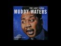 Muddy Waters - The Lost Tapes Live(1971)