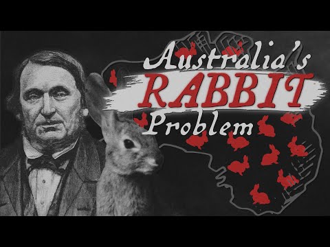 Australia&rsquo;s Rabbit Problem Explained