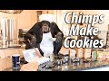 Chimps Make BIG Chocolate Chip Cookies | Myrtle Beach Safari