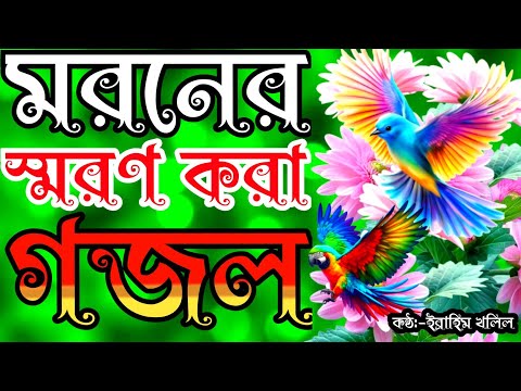 Gomoseksual ota va ogil Gomoseksual ota va ogil