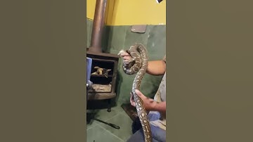 Snaking a Fireplace || ViralHog