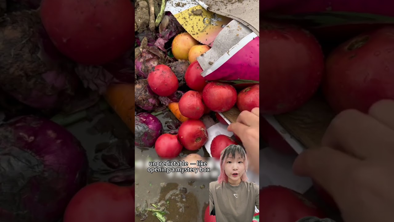 Young Chinese Are Going Night Veggie-Hunting — for Free 