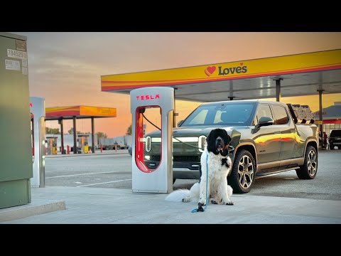 Battery Fault and Charging Bugs on My Rivian Cross Country Road Trip! Walter the Newf and I Drive to CO
