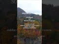 Healing Music & Calming Visuals | Relax Deeply in a Peaceful Moment