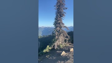 Hurricane Ridge