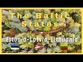 Vw t5 offroad the baltic states with our 4x4 bulli  estonia latvia lithuania