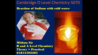 Reaction of Na with cold water screenshot 2